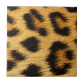 ヒョウの皮のアニマルプリント タイル (正面)