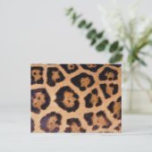 ヒョウの皮 ポストカード (スタンド正面)