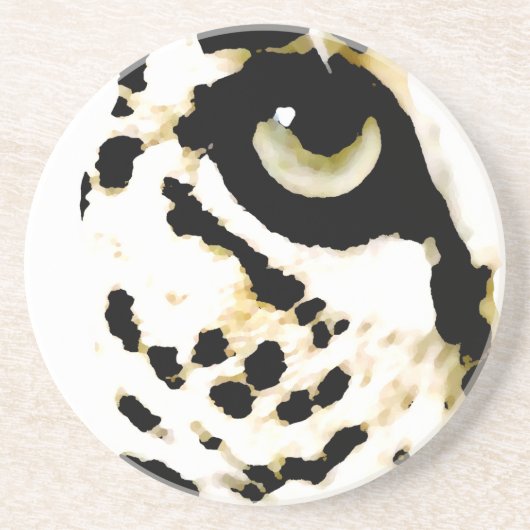 ヒョウの目 コースター (正面)