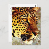 ヒョウの目 ポストカード (正面/裏面)