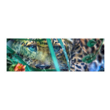 ヒョウの緑の目をした見つめる者