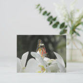 ヒョウの羽毛の蝶の白いオーキッドポストカー ポストカード (スタンド正面)