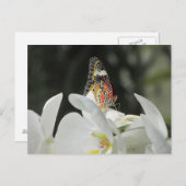 ヒョウの羽毛の蝶の白いオーキッドポストカー ポストカード (正面/裏面)