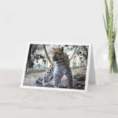 ヒョウの肖像 カード (正面)