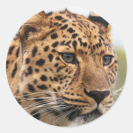 ヒョウの肖像 ラウンドシール