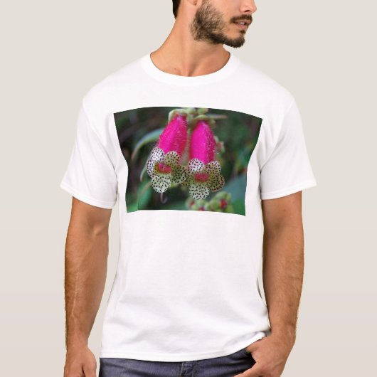 ヒョウの花 Tシャツ (正面)