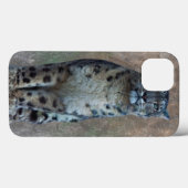 ヒョウの見張り所 iPadケース Case-Mate iPhoneケース (裏面 (横))