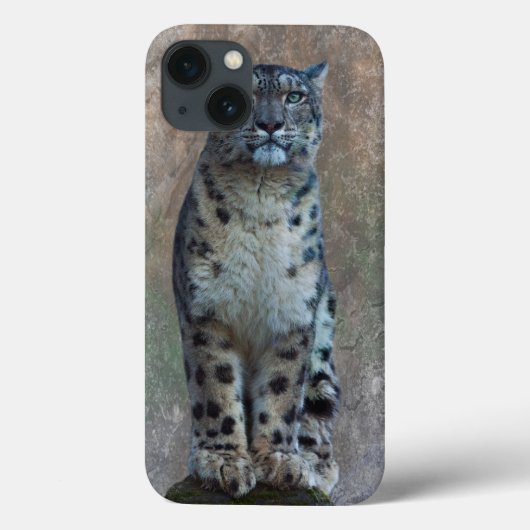 ヒョウの見張り所 iPad Mini ケース Case-Mate iPhoneケース (裏面)