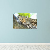 ヒョウの視線 キャンバスプリント (インサイチュ (ウッドフロア))
