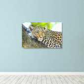 ヒョウの視線 キャンバスプリント (インサイチュ (ウッドフロア))