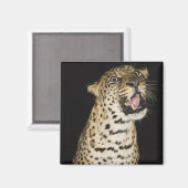 ヒョウの轟音 マグネット (正面/裏面)