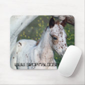 ヒョウの雌の子馬 マウスパッド (マウス)