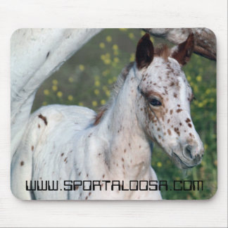 ヒョウの雌の子馬 マウスパッド