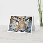 ヒョウの顔 カード (正面)