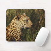 ヒョウの(警報及び着席)野生動物のmousepads マウスパッド (マウス)