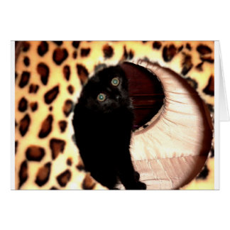 ヒョウのhoochの黒猫