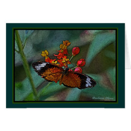 ヒョウのLacewing (Cethosiaのcyane)の蝶