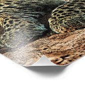 ヒョウはイザヤ書第11子と一緒に横になる フォトプリント (角)