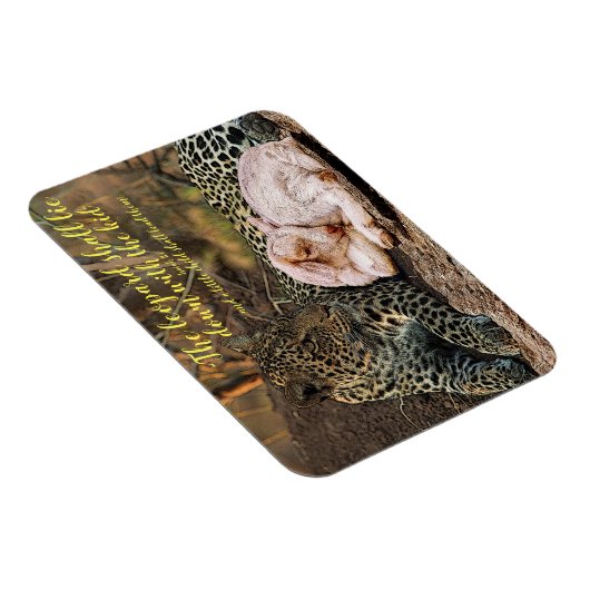 ヒョウは子ヒツジアイザイア11と横になります マグネット (右側)