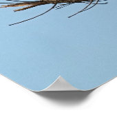 ヒョウは木の枝に座って吠える ポスター (角)