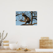 ヒョウは木の枝に座って吠える ポスター (キッチン)