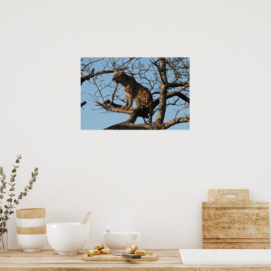 ヒョウは木の枝に座って吠える ポスター (キッチン)
