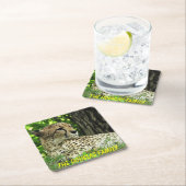 ヒョウを閉じる スクエアペーパーコースター (インサイチュ)