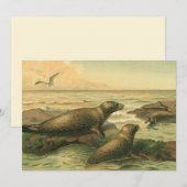 ヒョウアザラシ、ビンテージの水生動物海洋生物 (正面/裏面)