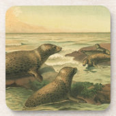 ヒョウアザラシ、ビンテージの水生動物海洋生物 コースター (正面)