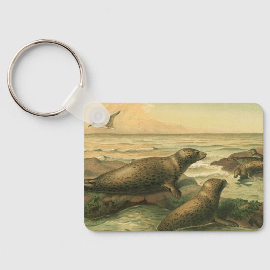 ヒョウアザラシ、ビンテージ水生動物海洋生物 キーホルダー (裏面)