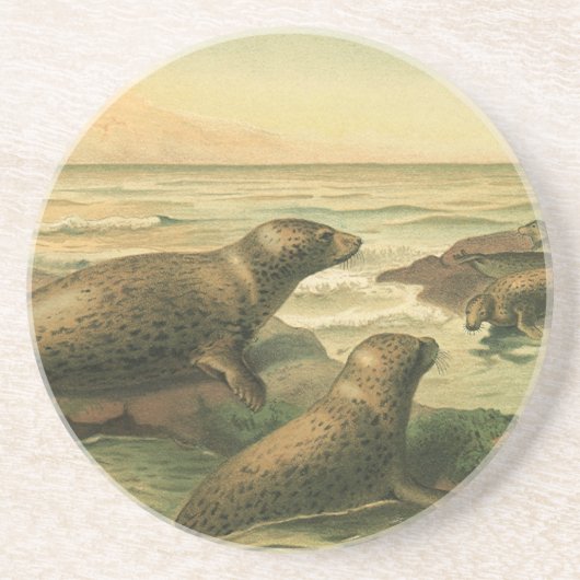ヒョウアザラシ、ビンテージ水生動物海洋生物 コースター (正面)
