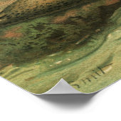 ヒョウアザラシ、ビンテージ水生動物海洋生物 ポスター (角)