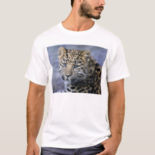 ヒョウカブスはティーにのせます Tシャツ