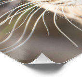 ヒョウポートレート ポスター (コーナー)