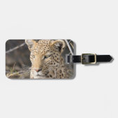 ヒョウポートレート ラゲッジタグ (正面横)