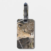ヒョウポートレート ラゲッジタグ (裏面縦)