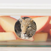 ヒョウポートレート ラベル (貼付)