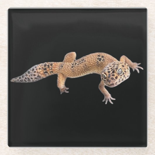 ヒョウモントカゲモドキ ガラスコースター (正面)