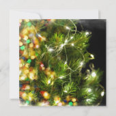 *~*ヒョウ写真おもしろいAP20クリスマスパーティー 招待状 (裏面)