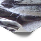 ヒョウ写真プリント ポスター (角)