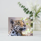 ヒョウ写真 ポストカード (スタンド正面)