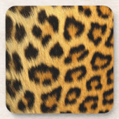 ヒョウ印刷 コースター (正面)