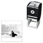 ヒョウ印 セルフインキングスタンプ (インサイチュ)