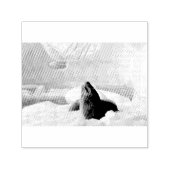 ヒョウ印 セルフインキングスタンプ (デザイン)