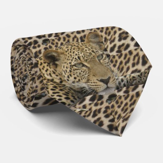 ヒョウ及び点 ネクタイ (ロール)