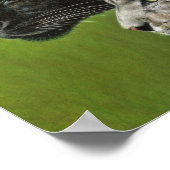 ヒョウ四 ポスター (角)