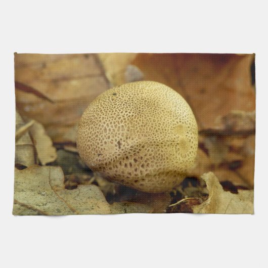 ヒョウ土球菌茶タオル キッチンタオル (横)
