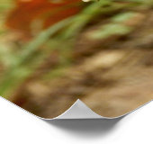 ヒョウ型きのこポスター ポスター (角)