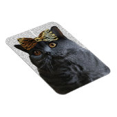 ヒョウ弓のグレー猫 マグネット (右側)