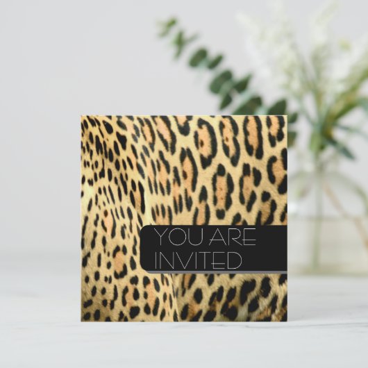 ヒョウ斑点 招待状 (スタンド正面)